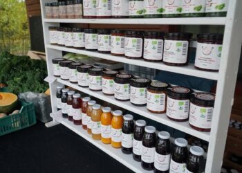 Supaprastintos trumpos maisto tiekimo grandinės – bendradarbiauti dar naudingiau