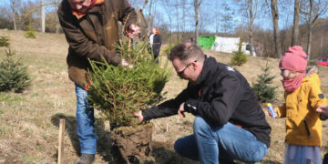 Kalėdų miške žaliuoja jau daugiau nei 60 eglučių