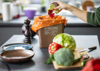 Maisto atliekoms rūšiuoti skirtas priemones bus galima atsiimti Kaziuko mugėje, šalia verslo centrų ir turgaviečių