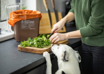 Daugiau nei 90 proc. vilniečių rūšiuoja teisingai