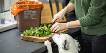 Daugiau nei 90 proc. vilniečių rūšiuoja teisingai