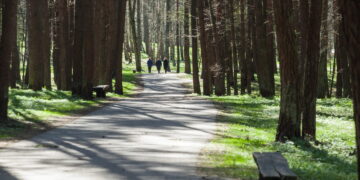 Vilniečiai Vingio parką įvertino keturiais balais iš penkių: vertina gamtos ramybę, nenori matyti automobilių