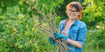 Kaip tvarkyti žaliąsias atliekas?