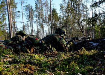 Plk. ltn. L. Idzelis: turime auginti Šaulių sąjungos raumenis
