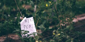 Kaimynų bendrystę stiprins per dešimt bendruomenių projektų