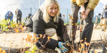 Sužaliuos daugiabučių kiemai: bendruomenėms dovanojama 2800 krūmų sodinukų