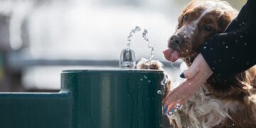 Startuoja „Vilniaus vandenų“ lauko gertuvės: skatinama rinktis tvarią alternatyvą