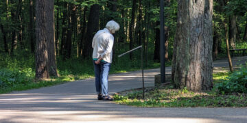 Vingio parke – M. K. Čiurlionio kūrybos takai