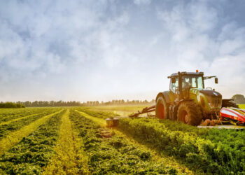 Dvidešimt ES narystės metų: Lietuvos kaimo ir žemės ūkio sėkmės istorija