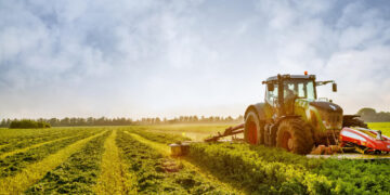 Dvidešimt ES narystės metų: Lietuvos kaimo ir žemės ūkio sėkmės istorija