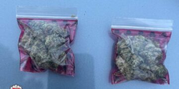 Praėjusią savaitę prigauta daugiau nei tūkstantis greitų erelių