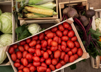Stiprinamos priemonės stabdyti nelegalų rusiškų daržovių įvežimą