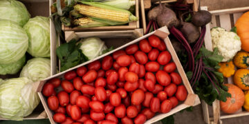 Stiprinamos priemonės stabdyti nelegalų rusiškų daržovių įvežimą