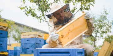 Bitininkai pirmą kartą kviečiami burtis į bičių veisimo organizacijas