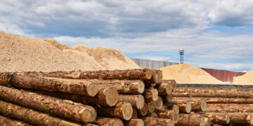 Lietuvos medienos pramonė: iš gilios recesijos atsigavimo link?