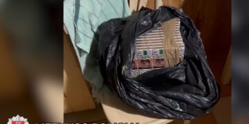 Viename iš namų Grigiškėse aptiktas nemenkas „lobis“