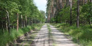 Susitarta dėl miškovežių sugadinamų kelių sutvarkymo Vilniaus rajone