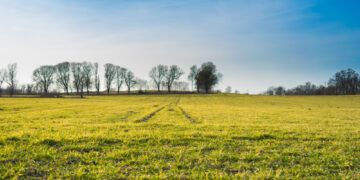 Rastas palankus sprendimas ūkininkams, kurie dalį savo ariamos žemės skyrė negamybiniams plotams