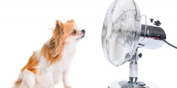 Laukia karšta savaitė, nepamirškite pasirūpinti priemonėmis nuo perkaitimo