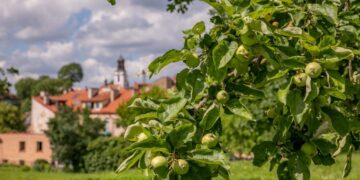 Nuo liepos 1 d. bus galima kreiptis dėl socialinės paramos mokiniams ateinantiems mokslo metams