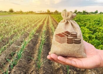 Gera žinia smulkiesiems ūkininkams: ministerija skirs lėšų finansuoti visus tinkamus projektus