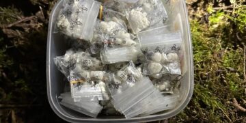 Likviduota dar viena narkotinė „Telegram“ kanalo grupė