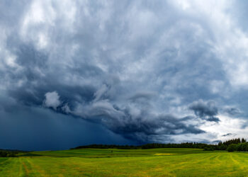 Dėl audros padarinių Vilniaus rajonas skelbia ekstremalią situaciją