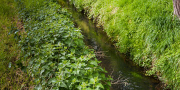 Kur kreiptis dėl melioracijos sistemų naudojimo ir priežiūros