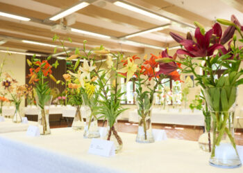 VU Botanikos sode – įspūdinga žiedų paroda