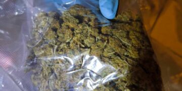 Vilniuje įkliuvo narkotikų platintojas ir jų vartotojai