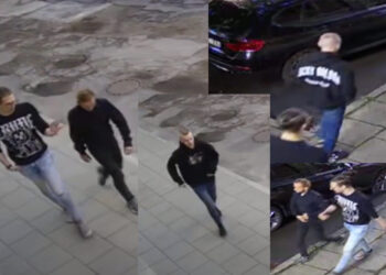 Sostinės policija prašo visuomenės pagalbos