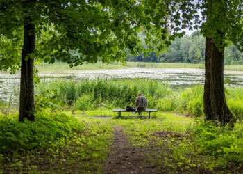 Bus sutvarkytas ir Jeruzalės tvenkinio parkas