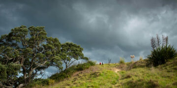 Savaitė po didžiausios šių metų audros: nuostoliai 4,23 mln. eurų