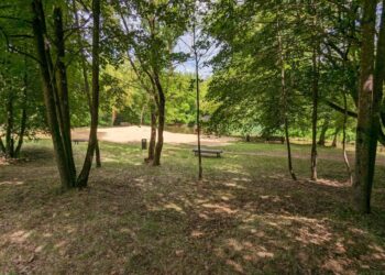 Įspėjame: Naujosios Vilnios maudykloje užterštas vanduo