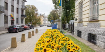 Prie Ukrainos ambasados – beveik 1 tūkst. saulėgrąžų žiedų