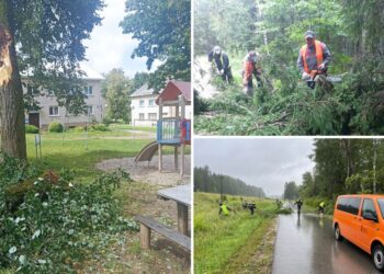 Iš žmonių bus renkamos audros pridarytos žaliosios atliekos