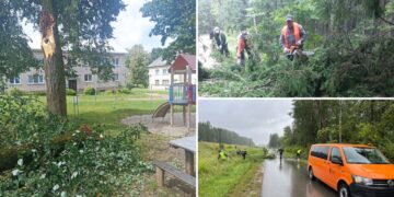 Iš žmonių bus renkamos audros pridarytos žaliosios atliekos