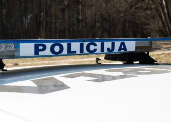 Dar vienas „užsibuvęs“ svetimšalis grąžinamas į savo šalį