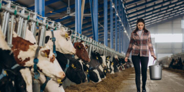 Patvirtinti 2024 metų susietosios paramos už pienines karves dydžiai