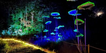 Netoli Vilniaus atidarytas šviečiančių grybų parkas