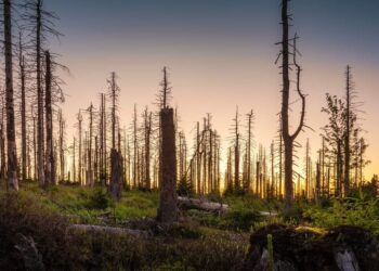 Nuo rugsėjo 23 iki spalio 10 d. laikinai uždaromas Varnikų pažintinis takas – bus šalinami audros vėtros padariniai