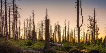 Nuo rugsėjo 23 iki spalio 10 d. laikinai uždaromas Varnikų pažintinis takas – bus šalinami audros vėtros padariniai