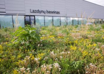 Vilnius pirmasis Lietuvoje projektuose vertina ir žalumo indeksą
