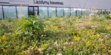 Vilnius pirmasis Lietuvoje projektuose vertina ir žalumo indeksą