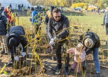 Vilniečiai šį šeštadienį kviečiami į krūmų sodinimo talką Justiniškėse