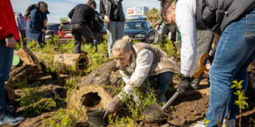 Krūmų sodinimo talka Justiniškėse: bus pasodinta apie 4200 augalų