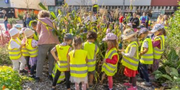 Miesto darže Šnipiškėse – derliaus nuėmimo metas