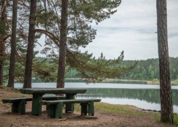 Vilniaus rajono ir miesto maudyklų vandens kokybė puiki