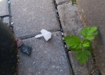 Suimtas stoties rajono vagišius, prekiavęs ir narkotikais