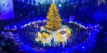 Jau žinoma, kada suspindės Vilniaus Kalėdų eglė